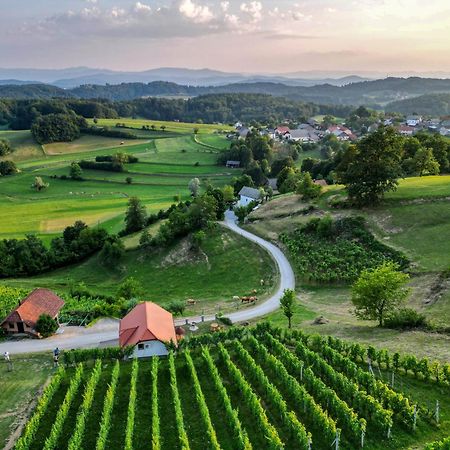 Vineyard Cottage Krivic Trebelno Exterior foto