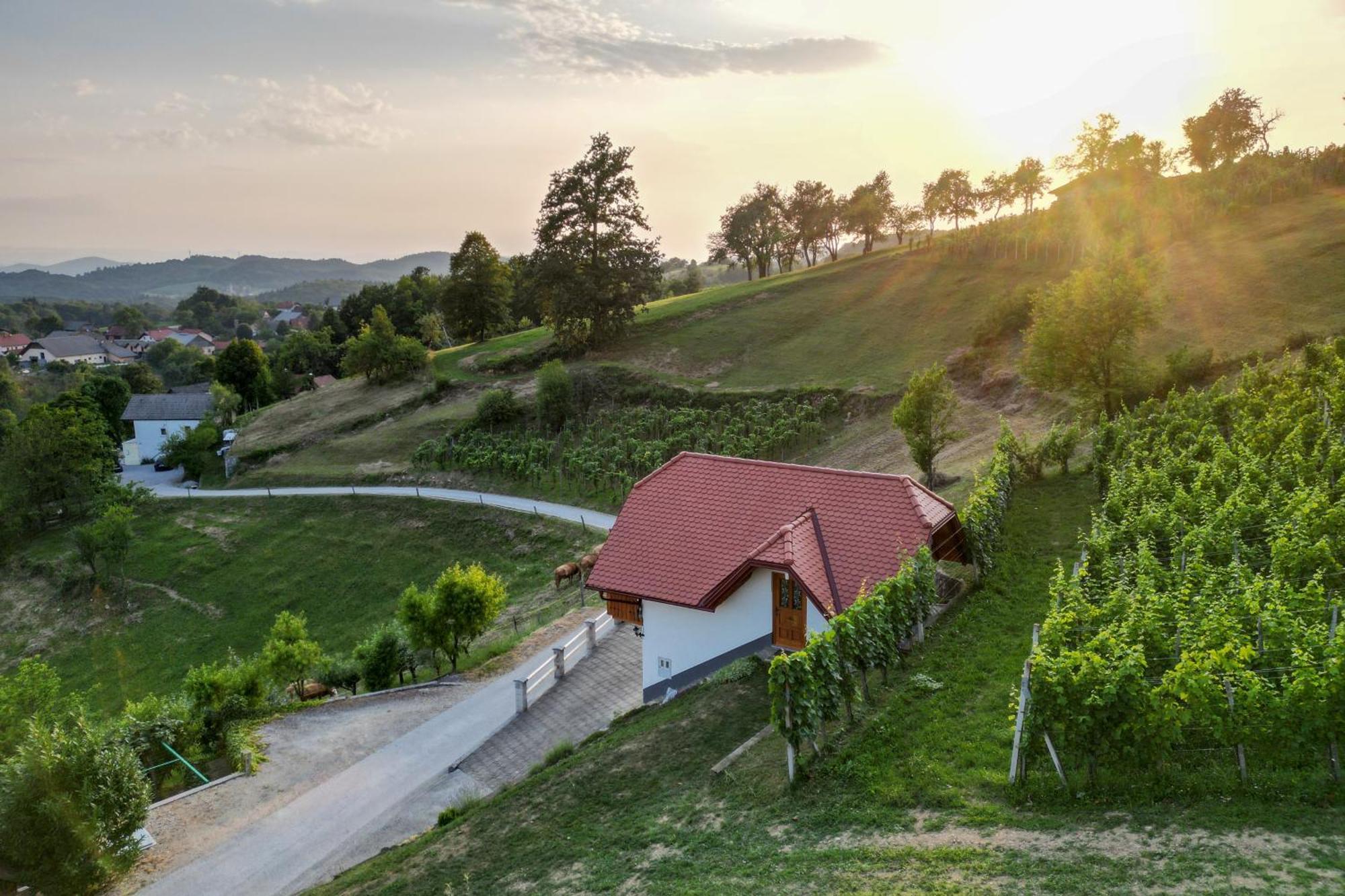 Vineyard Cottage Krivic Trebelno Exterior foto