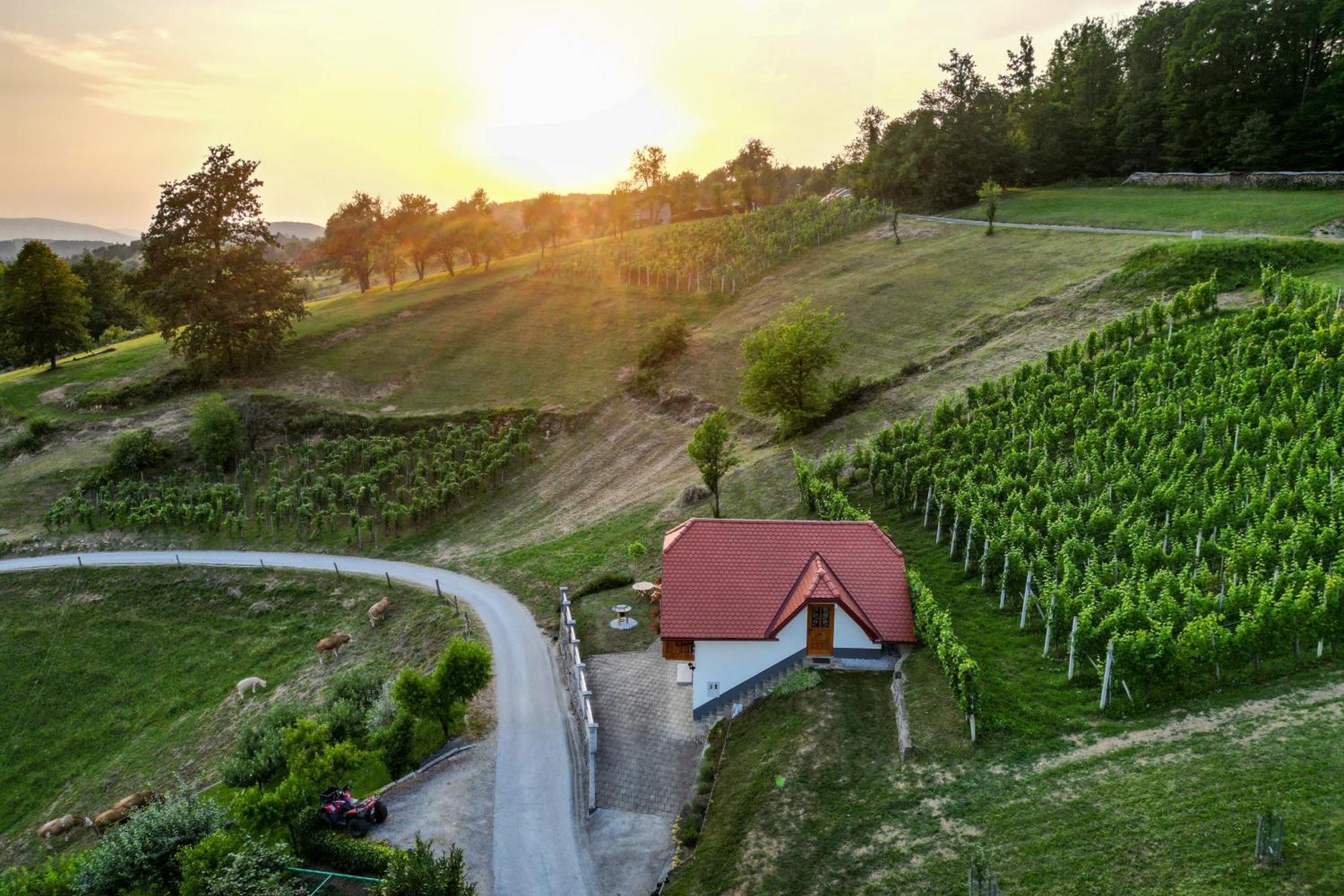 Vineyard Cottage Krivic Trebelno Exterior foto